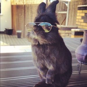 Meet your Posher, Jill